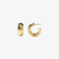 Meadowlark | Hera Hoops Medium - Gold Plated