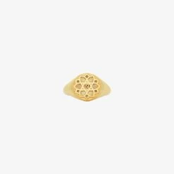Zoe & Morgan | Love Anahata Ring - 22K Gold Plated
